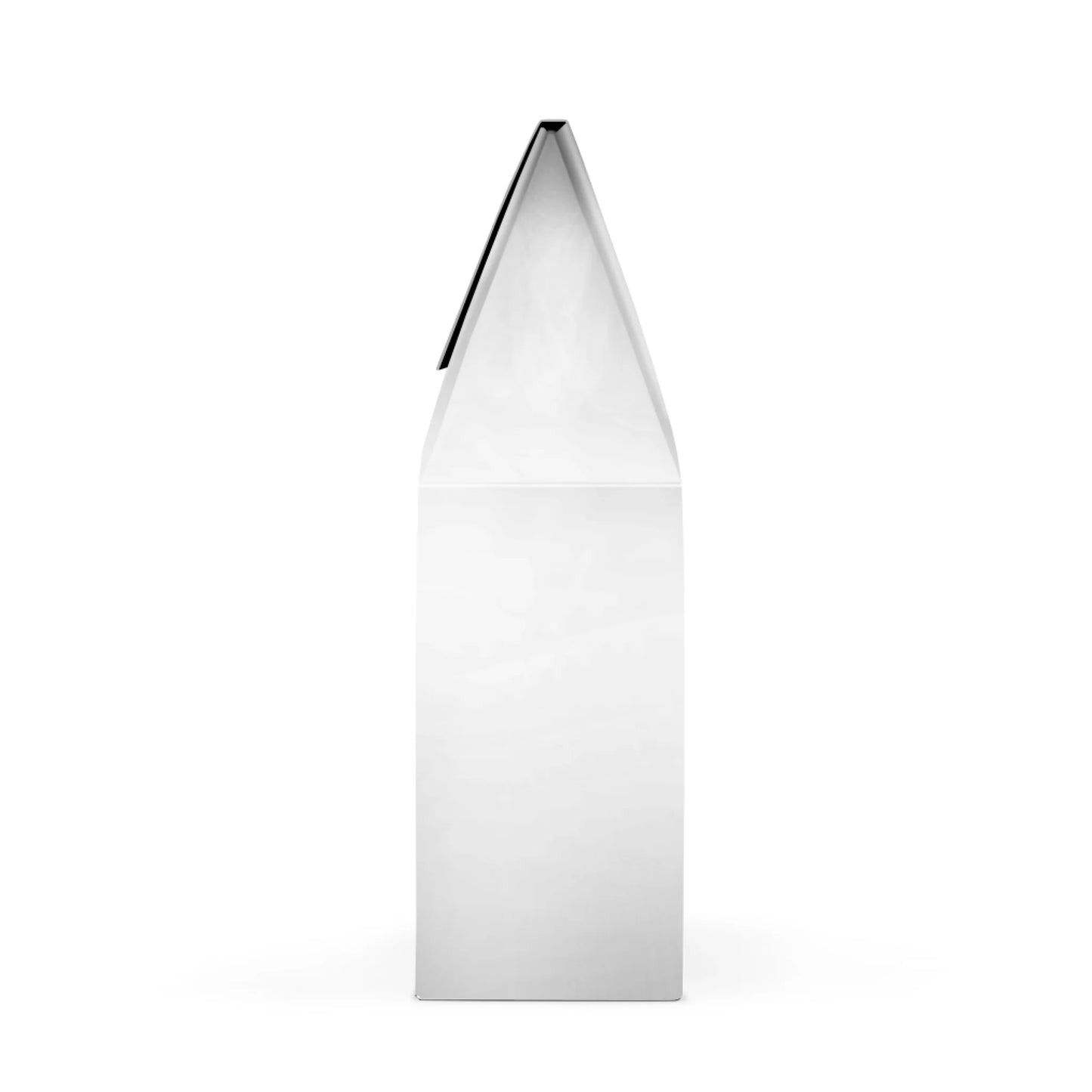 Silly Goose Christmas